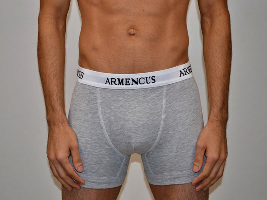3 Pices Gray color underwear